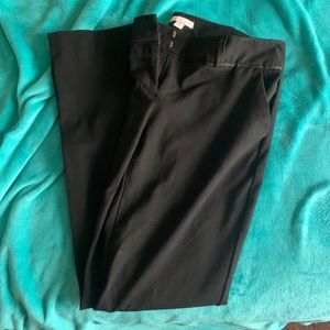 NYC Straight Leg Dress Pant